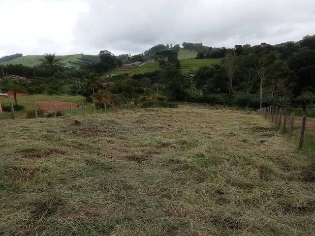 #TE13-SID - Área para Venda em Pedra Bela - SP - 3