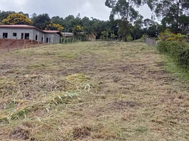 #TE13-SID - Área para Venda em Pedra Bela - SP - 2