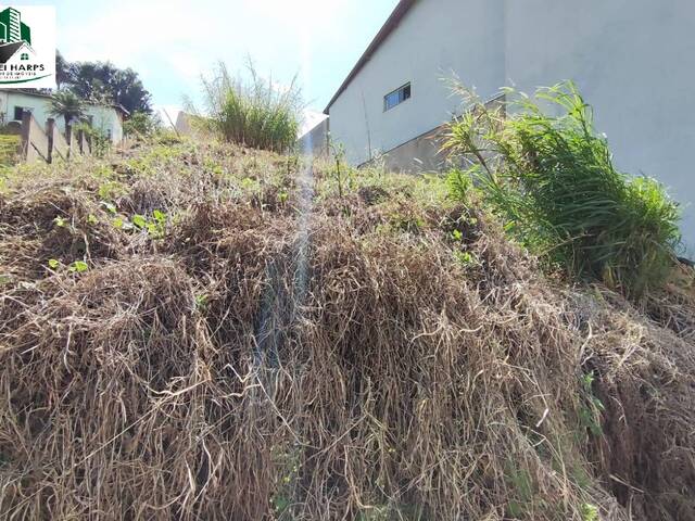 #TE620 S-TA - Terreno para Venda em Bragança Paulista - SP - 2