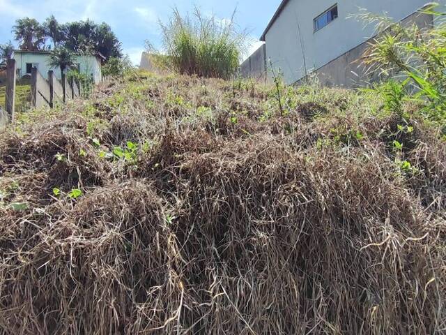 #TE620 S-TA - Terreno para Venda em Bragança Paulista - SP - 3