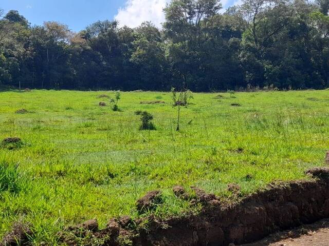 #TE23-S.VG - Terreno para Venda em Pinhalzinho - SP - 1