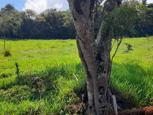 #TE23-S.VG - Terreno para Venda em Pinhalzinho - SP - 3