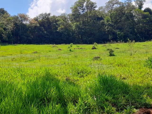 #TE23-S.VG - Terreno para Venda em Pinhalzinho - SP - 2