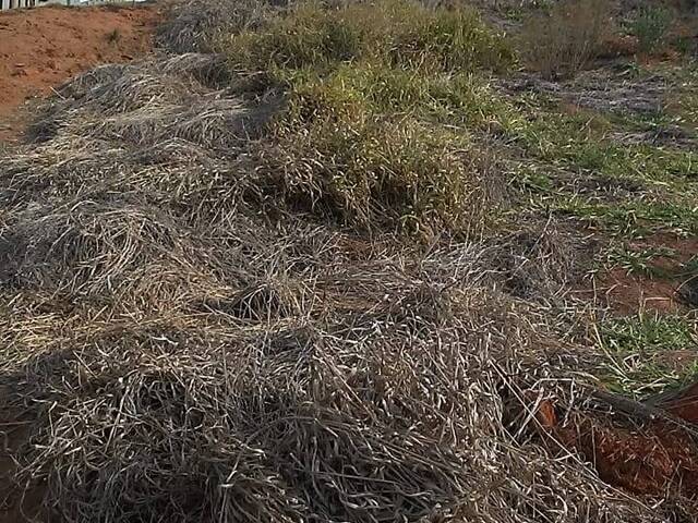 #TE01-S.SE - Terreno para Venda em Bragança Paulista - SP - 3